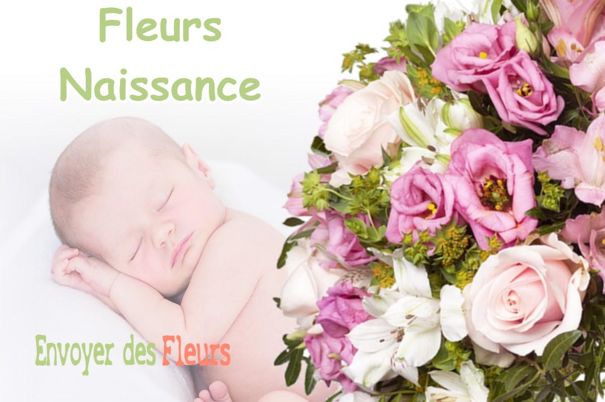 lIVRAISON FLEURS NAISSANCE à LA-COTE-SAINT-ANDRE